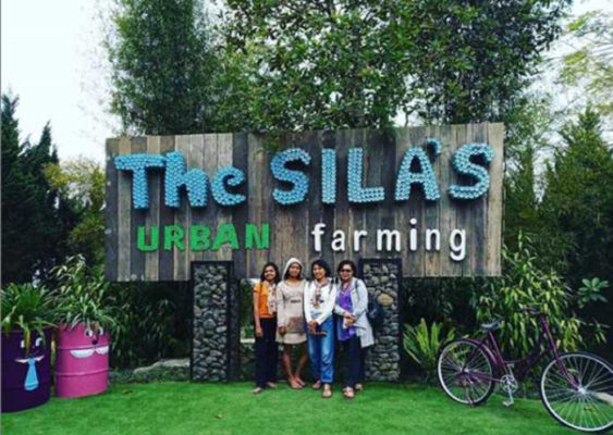 Paket Wisata Kemah The Sila’s Agrotourism